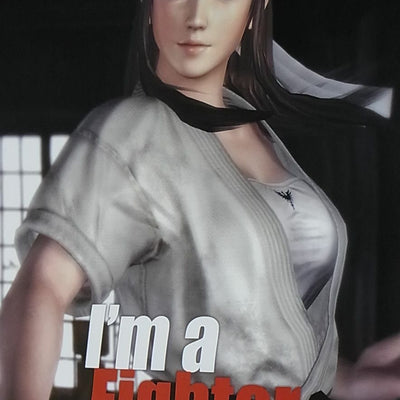 Dead Or Alive 5 Privilege Item I'm a Fighter Poster B2 Big Size Hitomi 