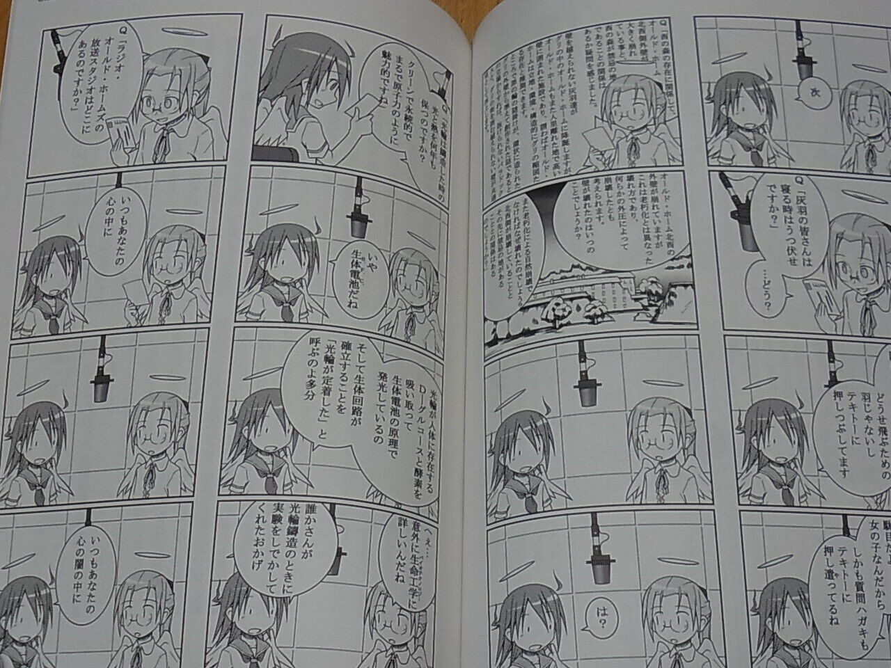 Haibane-Renmei Fan Doujinshi Haibane Tenjishitsu Comic & Novel 