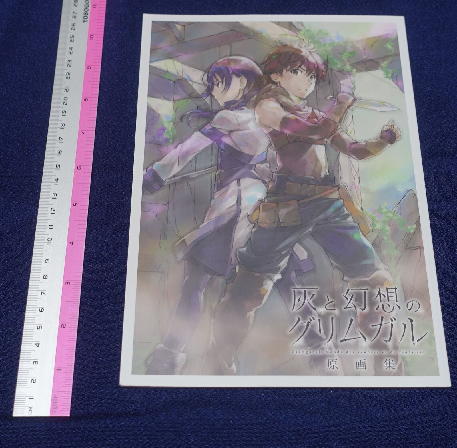 Animation Grimgar of Fantasy and Ash Key Frame Art Book 