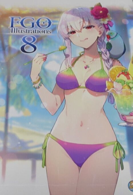 ReDrop & Raita Fate Grand Order Color Fan Art Book 11 Set FGO Illustrations 