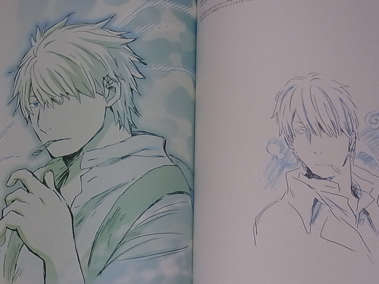 TERUMI NISHII POWER of CHARACTERS Animation Mushishi Seiya Pengdrum 