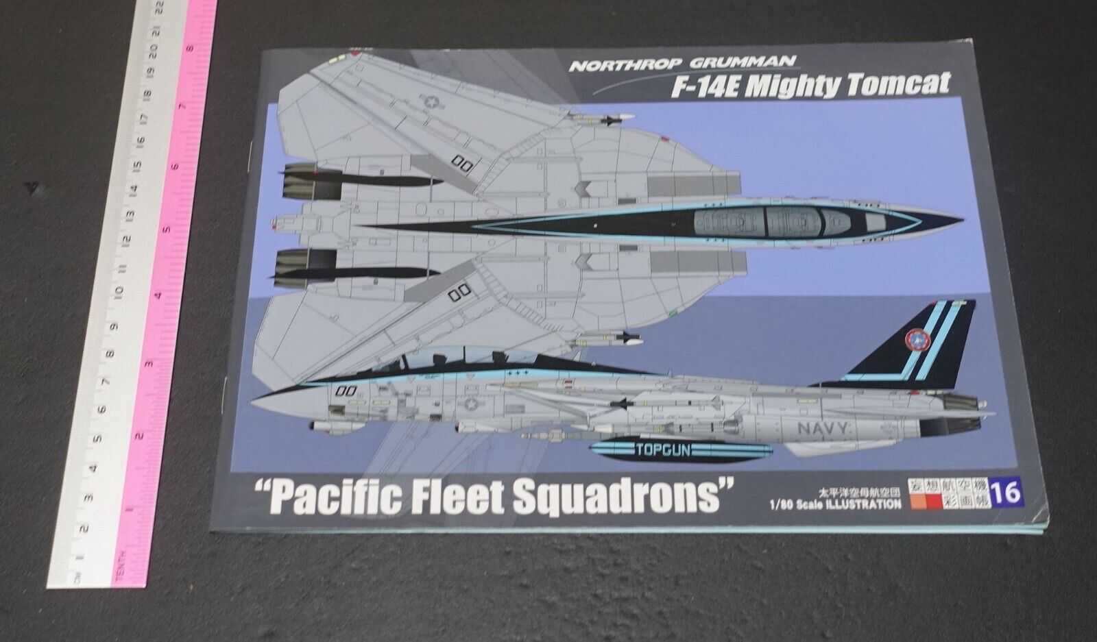 Takeshi Oka Imaginary Fighter Aircraft Art Book F-14E Mighty Tomcat 1/80 Scale 