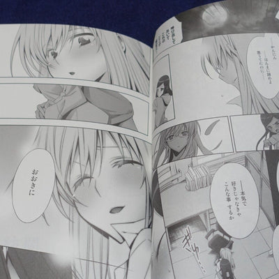 Mai-Hime Natsuki & Shizuru Fan Art , Comic , Novel Book Teacher Shizuru Returns 