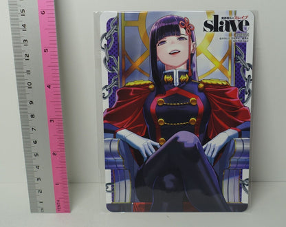 Chained Soldier Mato Seihei no Slave Reversible PVC Art Board 