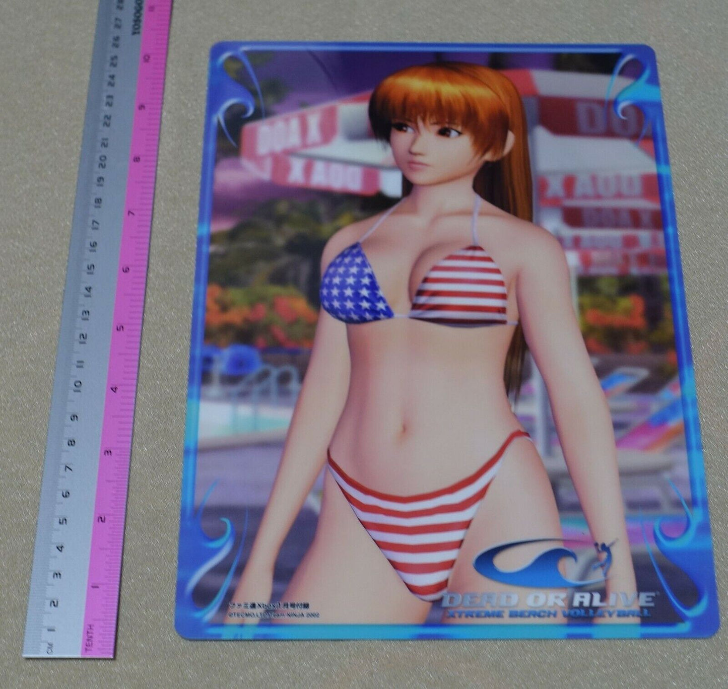 Dead or Alive Xtreme PVC Reversible Art Board Ayane & Kasumi 