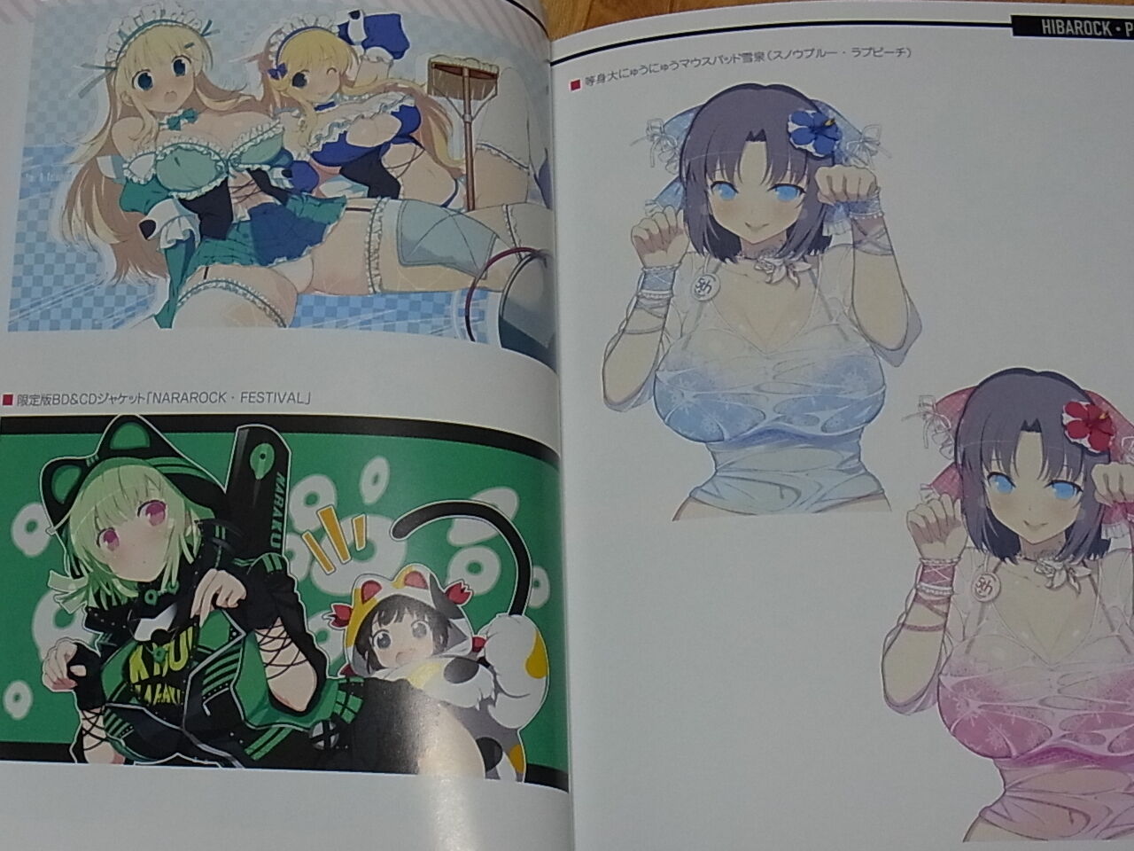 Senran Kagura PEACH BEACH SPLASH White Bikini Girls Art Book HIBAROCK PARTY 