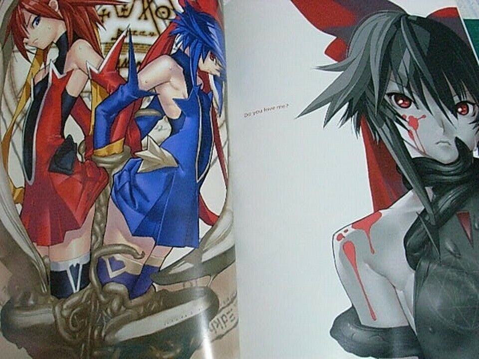 UGETSU HAKUA COLOR ART BOOK SIGNALL SIGNALESS 