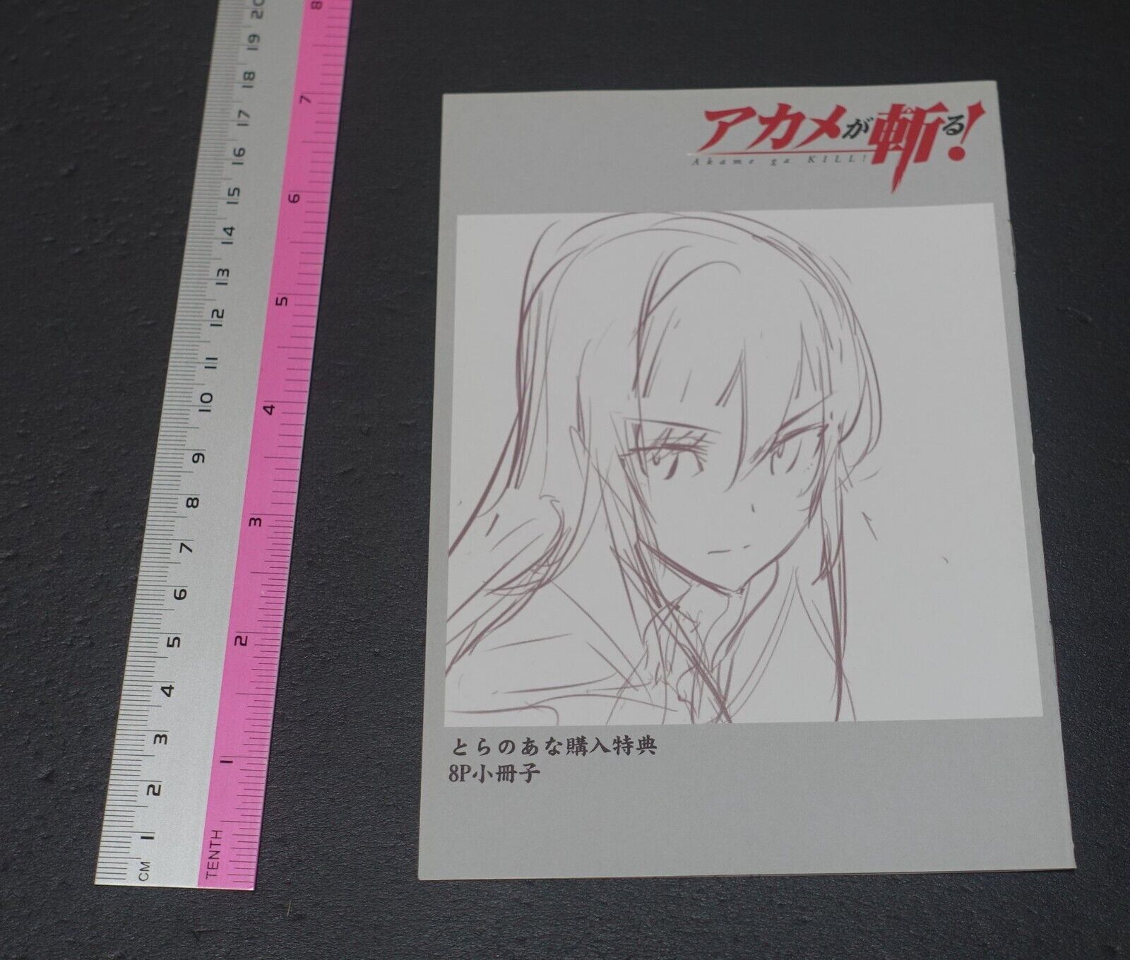Tetsuya Tashiro Akame ga Kill! Rought Illustration Art Mini Booklet G 8page 