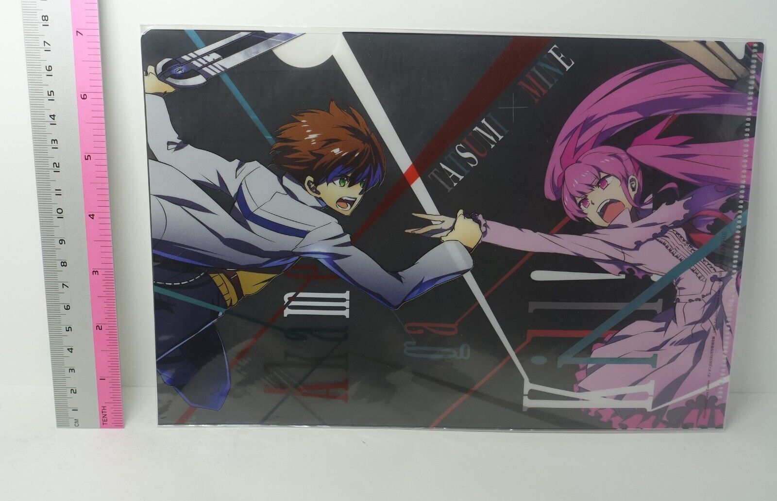 Akame ga Kill! Tatsumi & Mine PVC Art Sheet Clear File – q to Japan