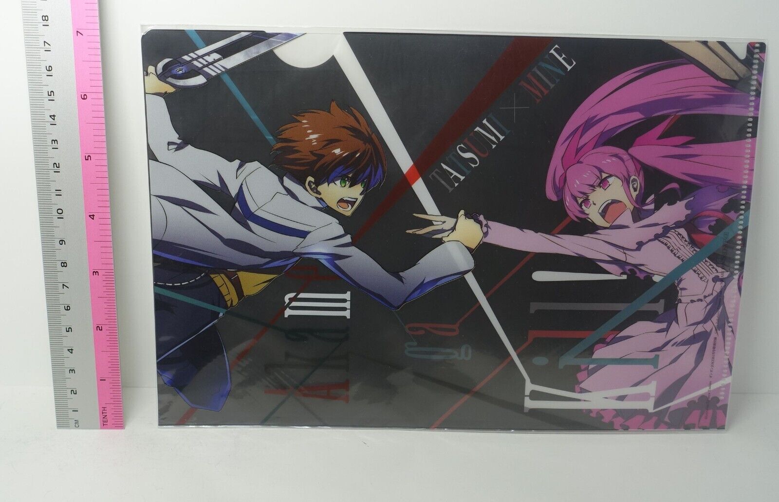 Akame ga Kill! Tatsumi & Mine PVC Art Sheet Clear File 