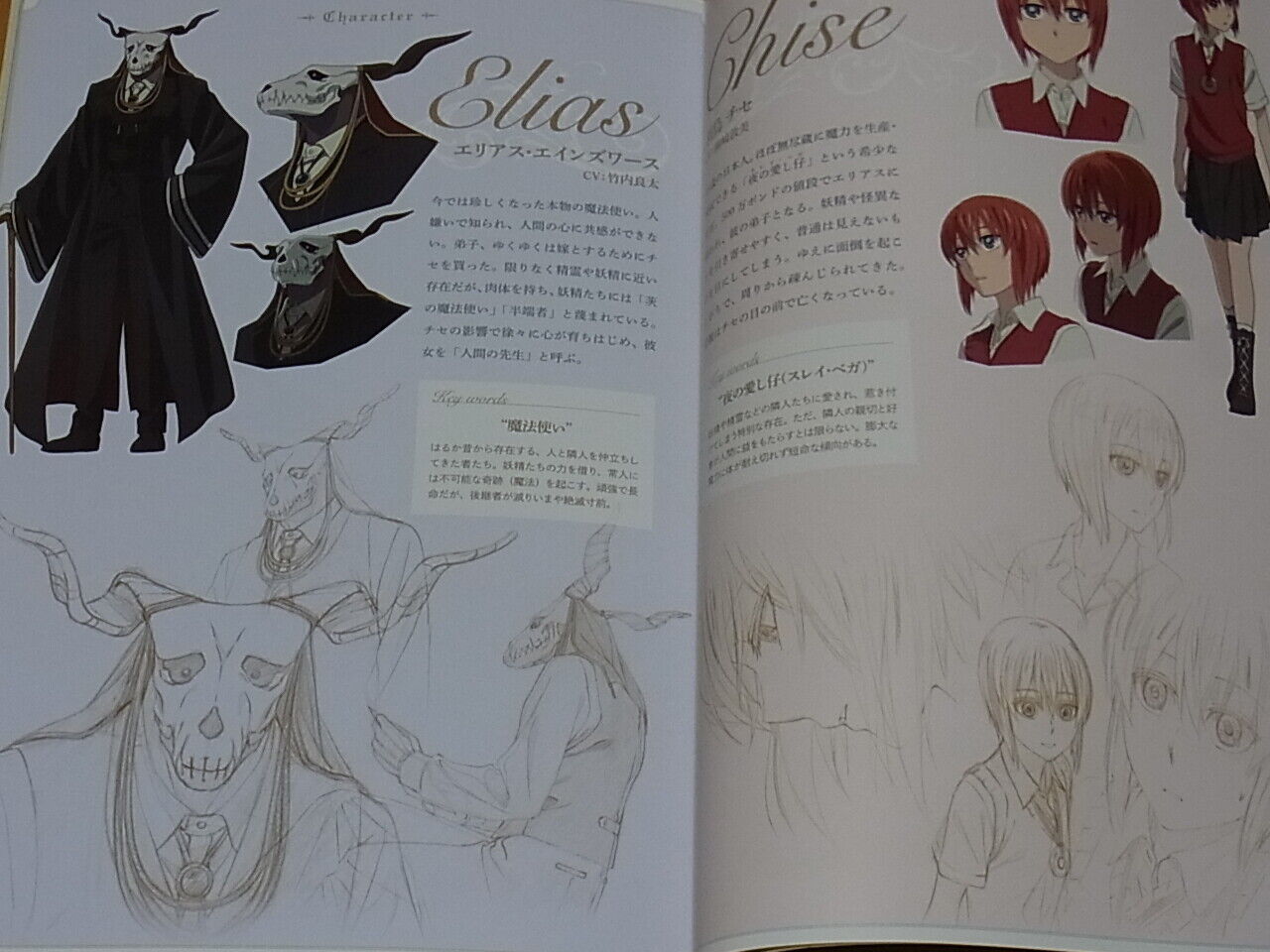 WIT STUDIO The Ancient Magus Bride Mahou Tsukai no Yome OVA Art Works complete 