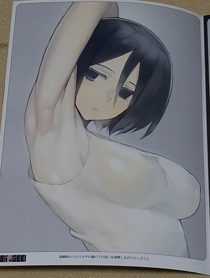 PANDA-NIKU Attack on Titan Shingeki no Kyojin Color Fan Art Book 6 complete Set 