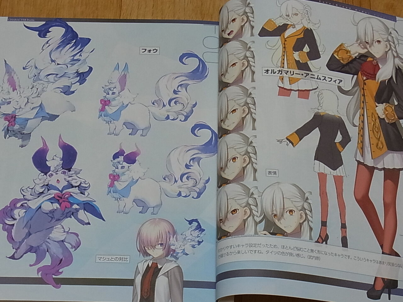 TYPE-MOON Fate FGO Setting art book Fate Grand Order material 1 