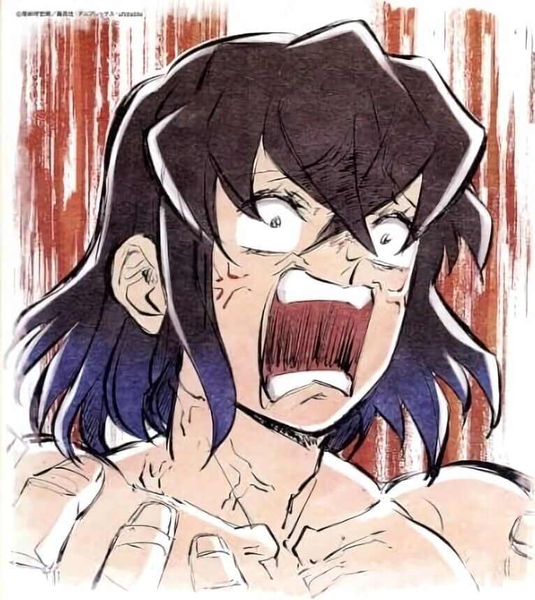 ufotable Kimetsu no Yaiba Demon Slayer Printed Shikishi Art Board Inosuke E 