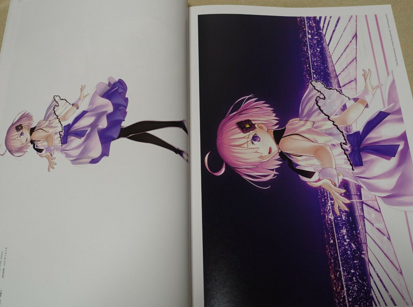 Type-Moon Fate Grand Order FGO MEMORIAL ART BOOK 5th Aniv under the same sky 