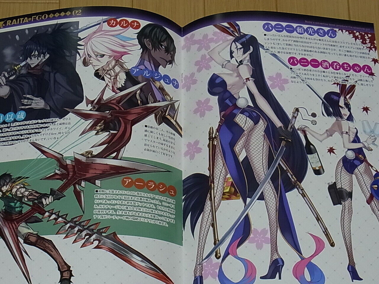 Honjou Raita Fate FGO Designer's Fan Art Book Rakugaki1-3 Complete Set Raikou 