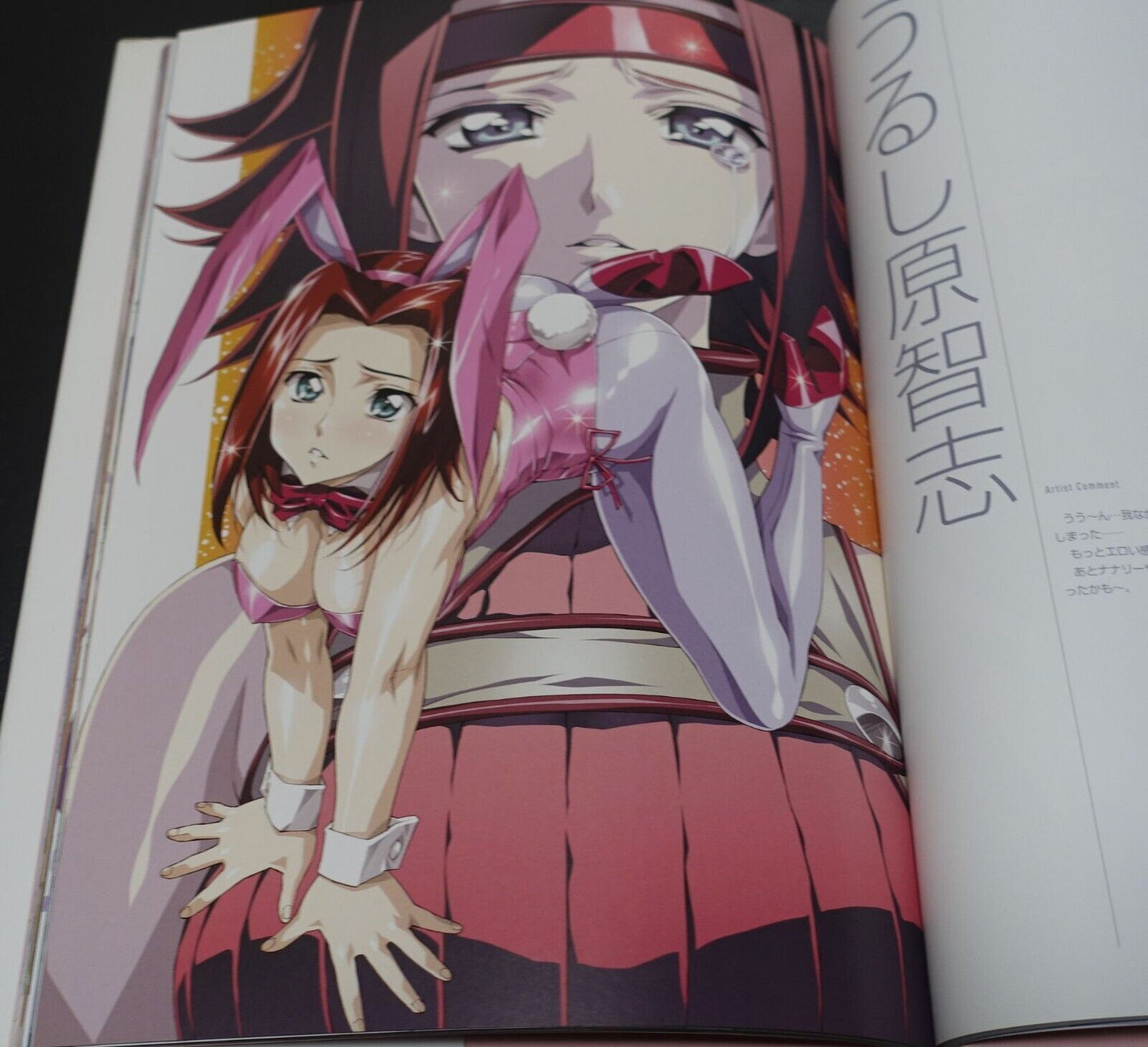 CODE GEASS Official Art Book Heroine's Tribute 