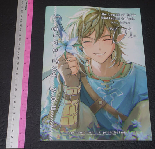 Ringo Mugicha The Legend of Zelda Color Fan Art Book I give for you 01 