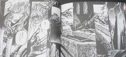 Akumajo Dracula X Nocturne in the Moonlight Mini Art Book Ayami Kojima 