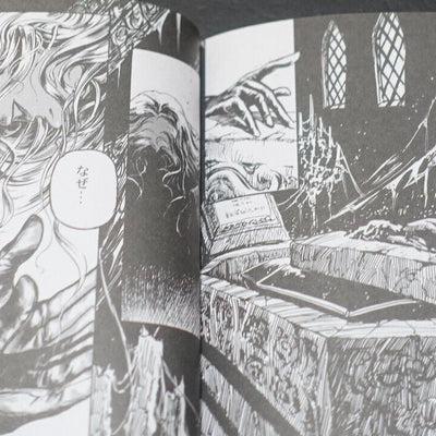 Akumajo Dracula X Nocturne in the Moonlight Mini Art Book Ayami Kojima 