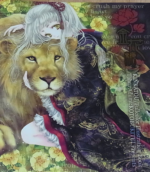 Tohru Adumi Colro Art Book KINKATOU VERY RARE 