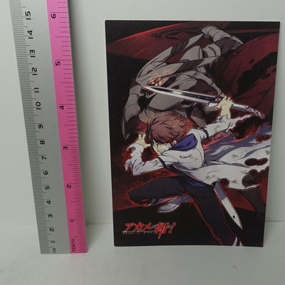 Akame ga Kill! e-Wondergoo Privilege Art Post Card Tatsumi A 