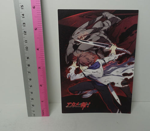 Akame ga Kill! e-Wondergoo Privilege Art Post Card Tatsumi A 