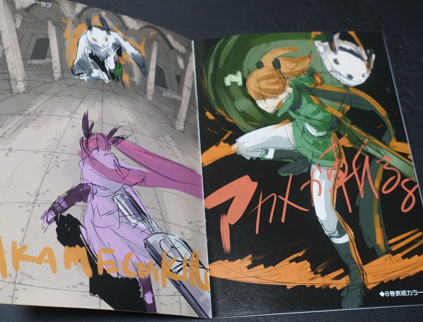 Tetsuya Tashiro Akame ga Kill! Rought Illustration Art Mini Booklet A 8page 