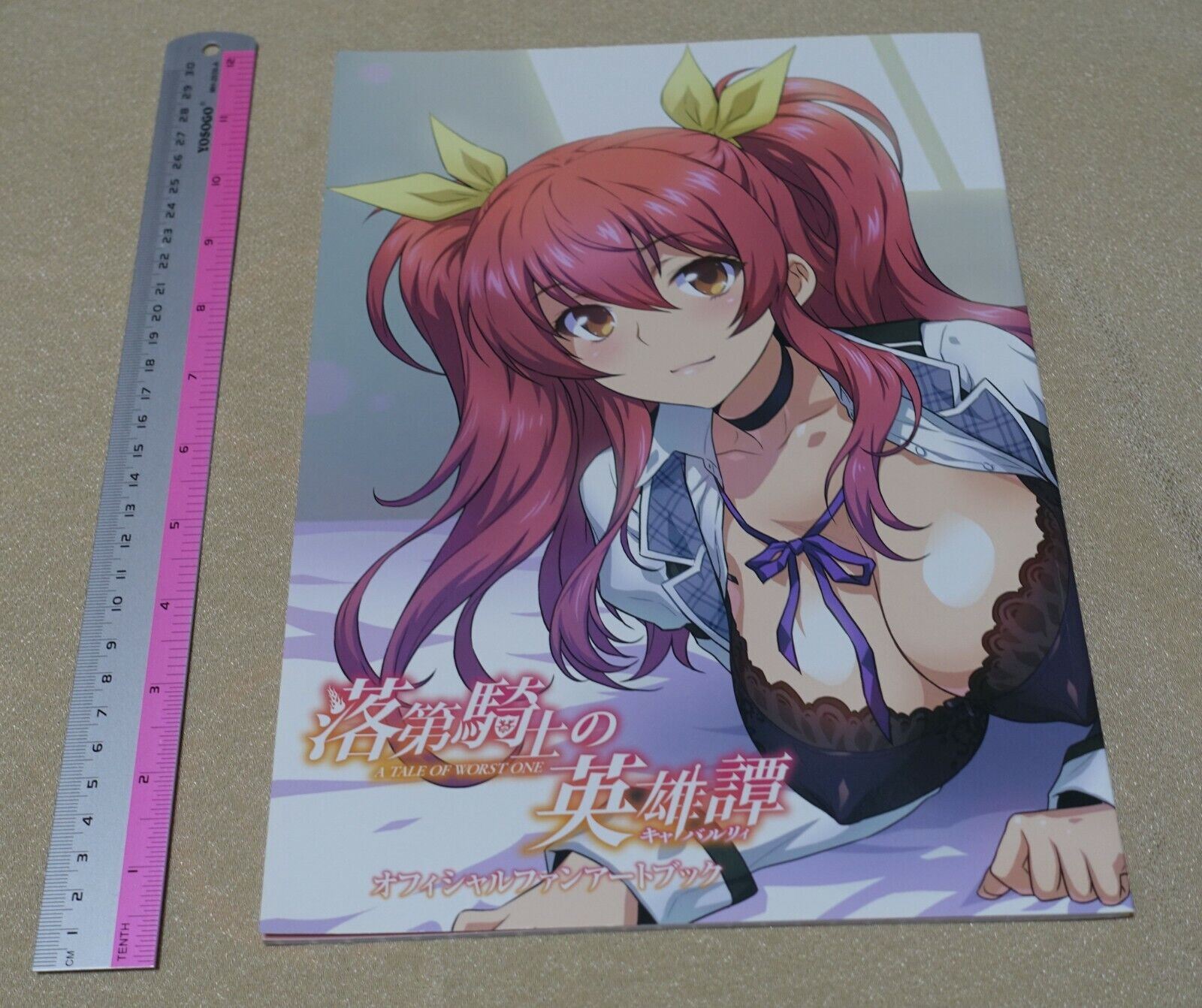 Animation Chivalry of a Failed Knight Official Fan Art Book 