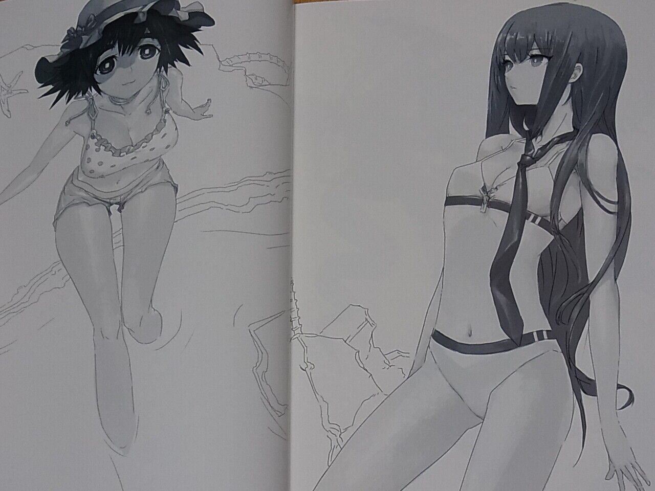 Huke STEINS GATE VISUAL WORKS REVISED EDITION 