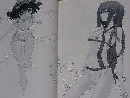 Huke STEINS GATE VISUAL WORKS REVISED EDITION 