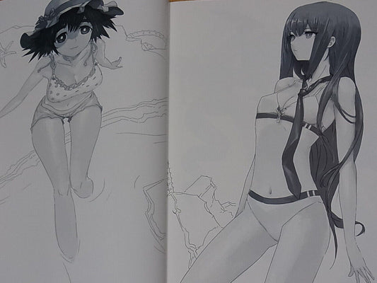 Huke STEINS GATE VISUAL WORKS REVISED EDITION 