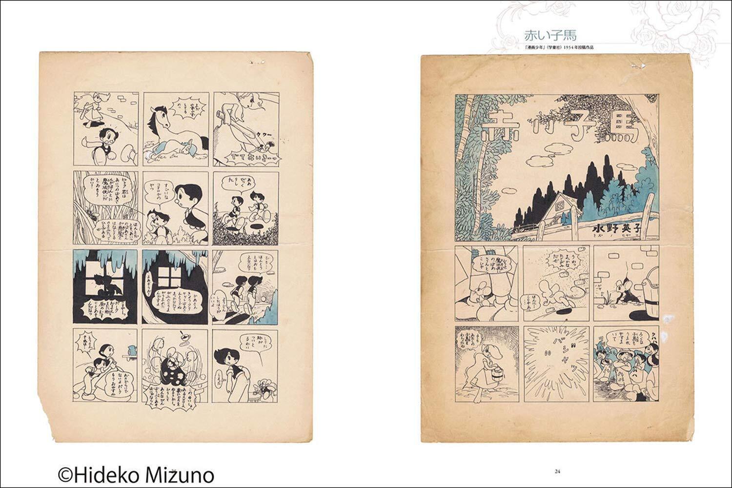 Gagyou 65th Hideko Mizuno Illustration Art Work Book Bara no Butokai 