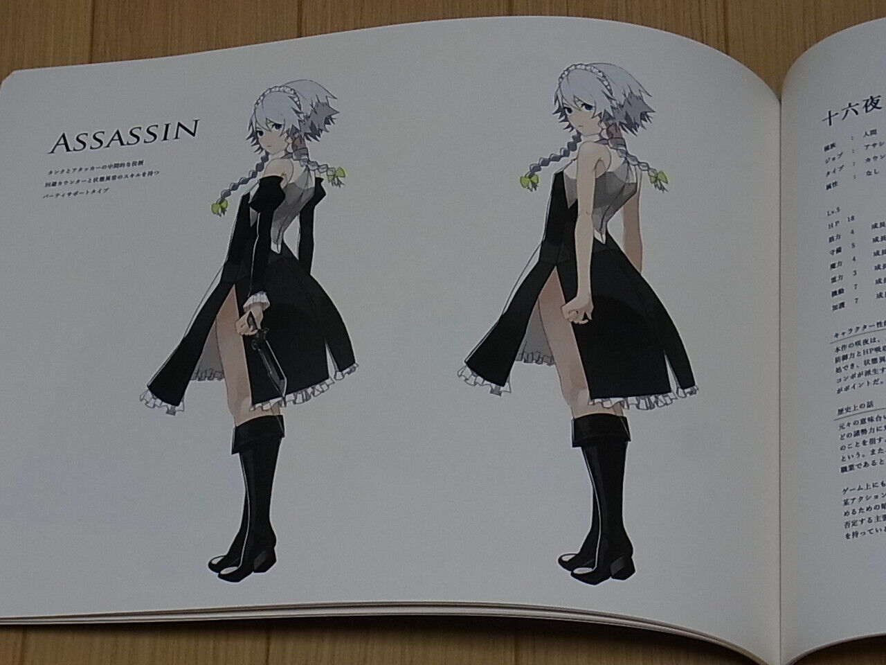 Indigo Touhou Color Fan Art Book REVERIE THE PHANTOM OF 105 