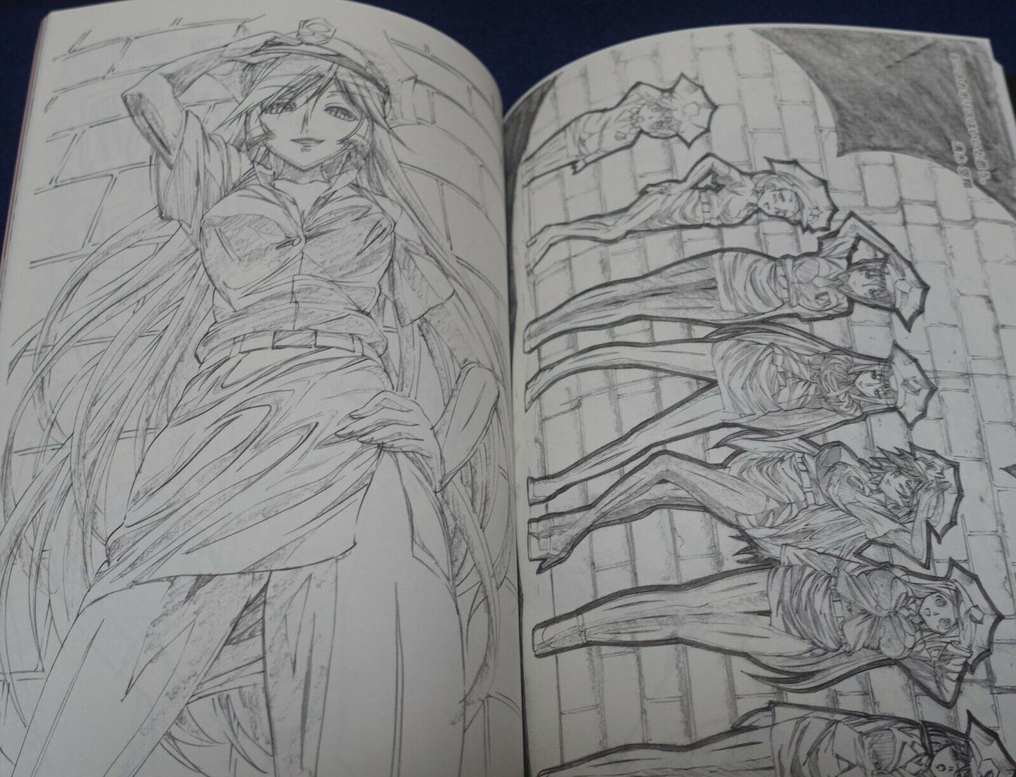 Animation Princess Resurrection Key Frame & Staff Art Book vol.1 