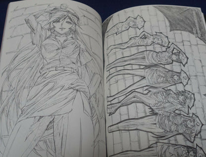 Animation Princess Resurrection Key Frame & Staff Art Book vol.1 