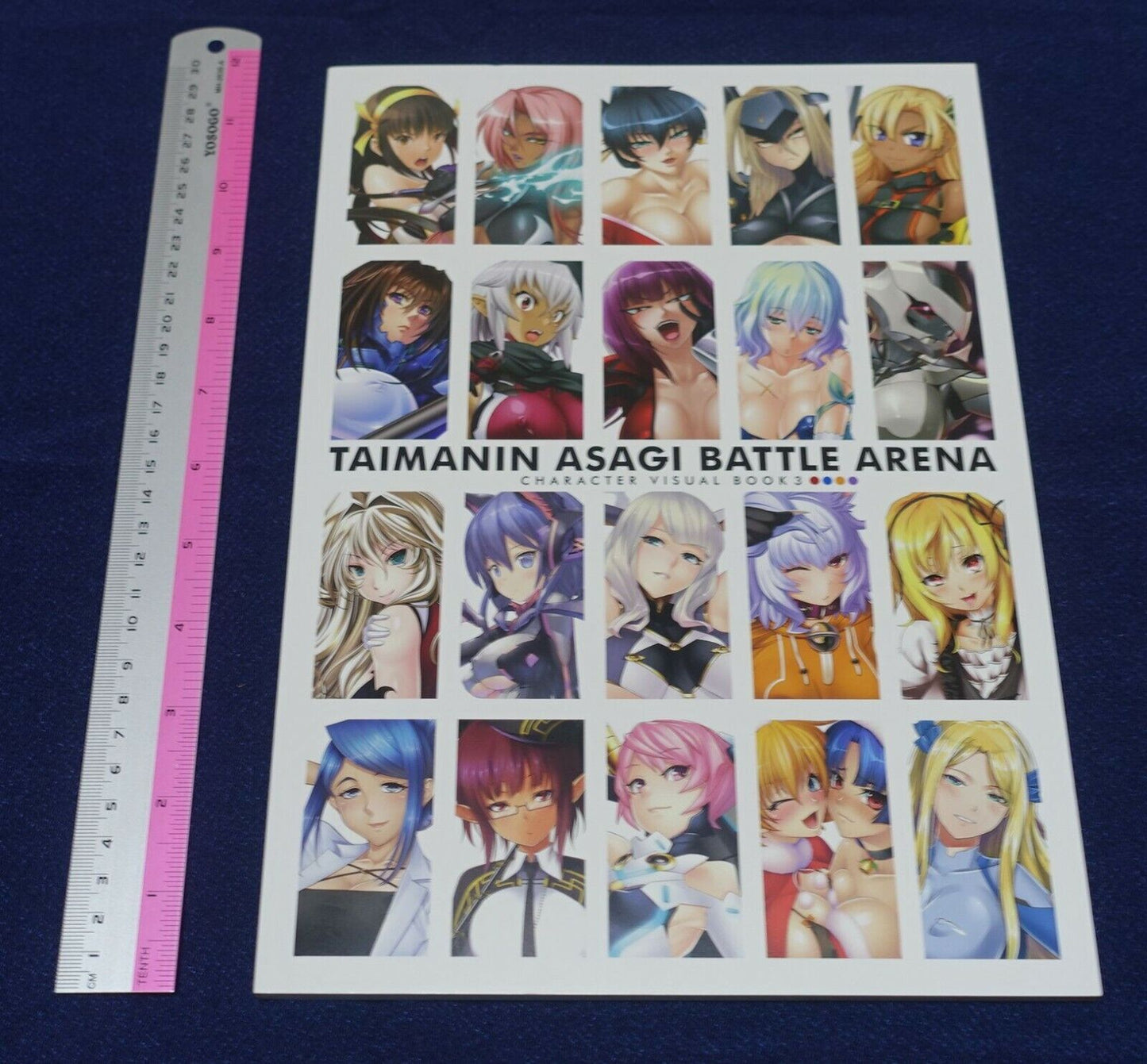 TAIMANIN ASAGI BATTLE ARENA CHARACTER VISUAL BOOK 03 NINJA GIRL 