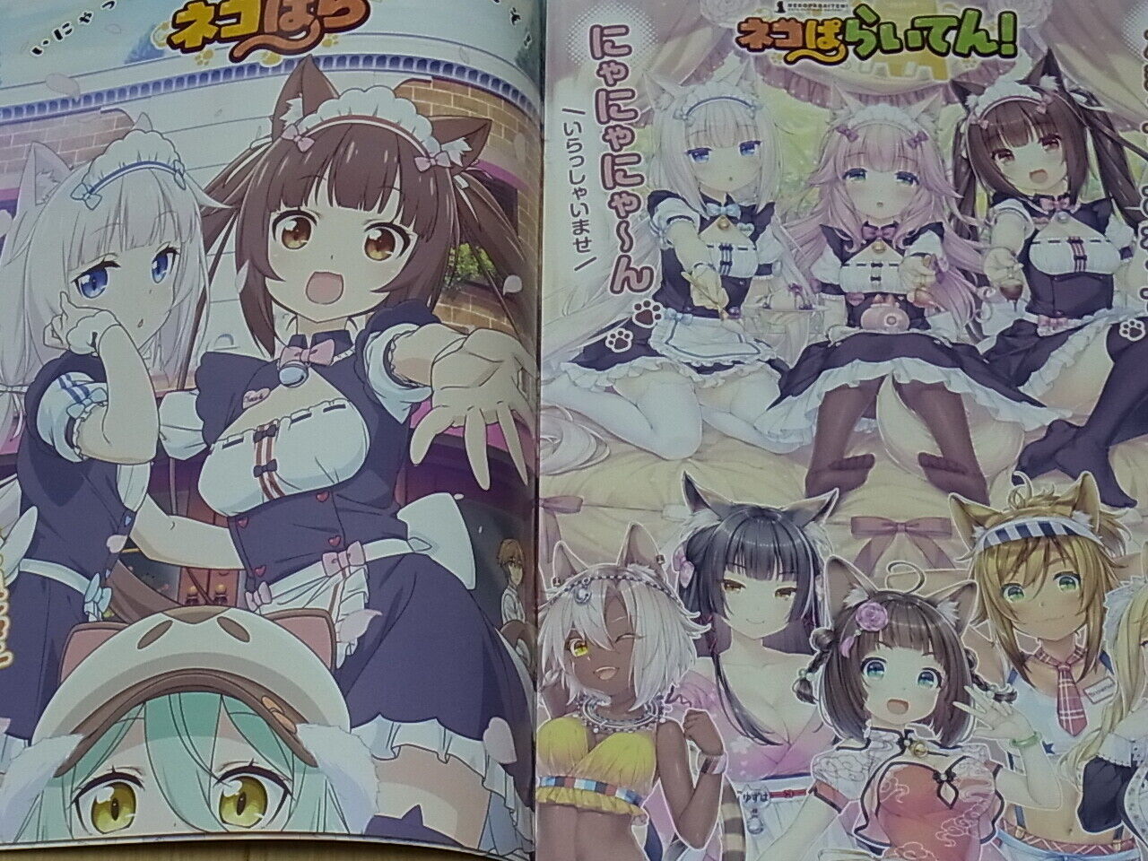 NEKO WORKs Nekopara 2019 Summer Information Book C96 