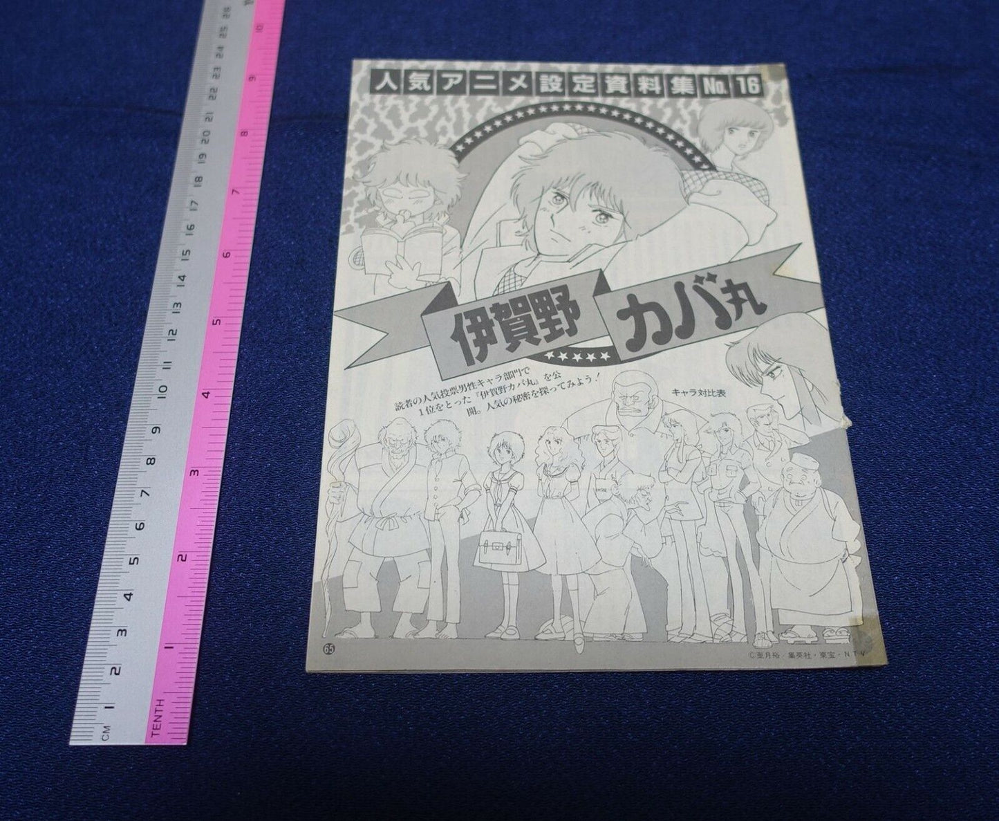 Cut Out Setting Art Article Igano Kabamaru 