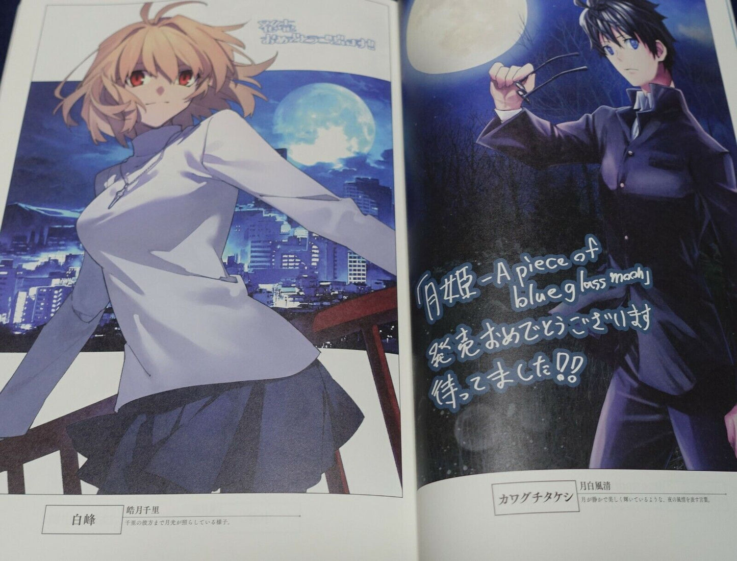 Tsukihime A piece of blue glass moon Official Fan Book Tsukihime Sou Hon 100page 
