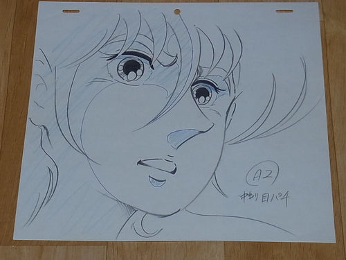 Raw Key Frame Art Six God Combination Godmars Takeru Myoujin E Japanese Anime 