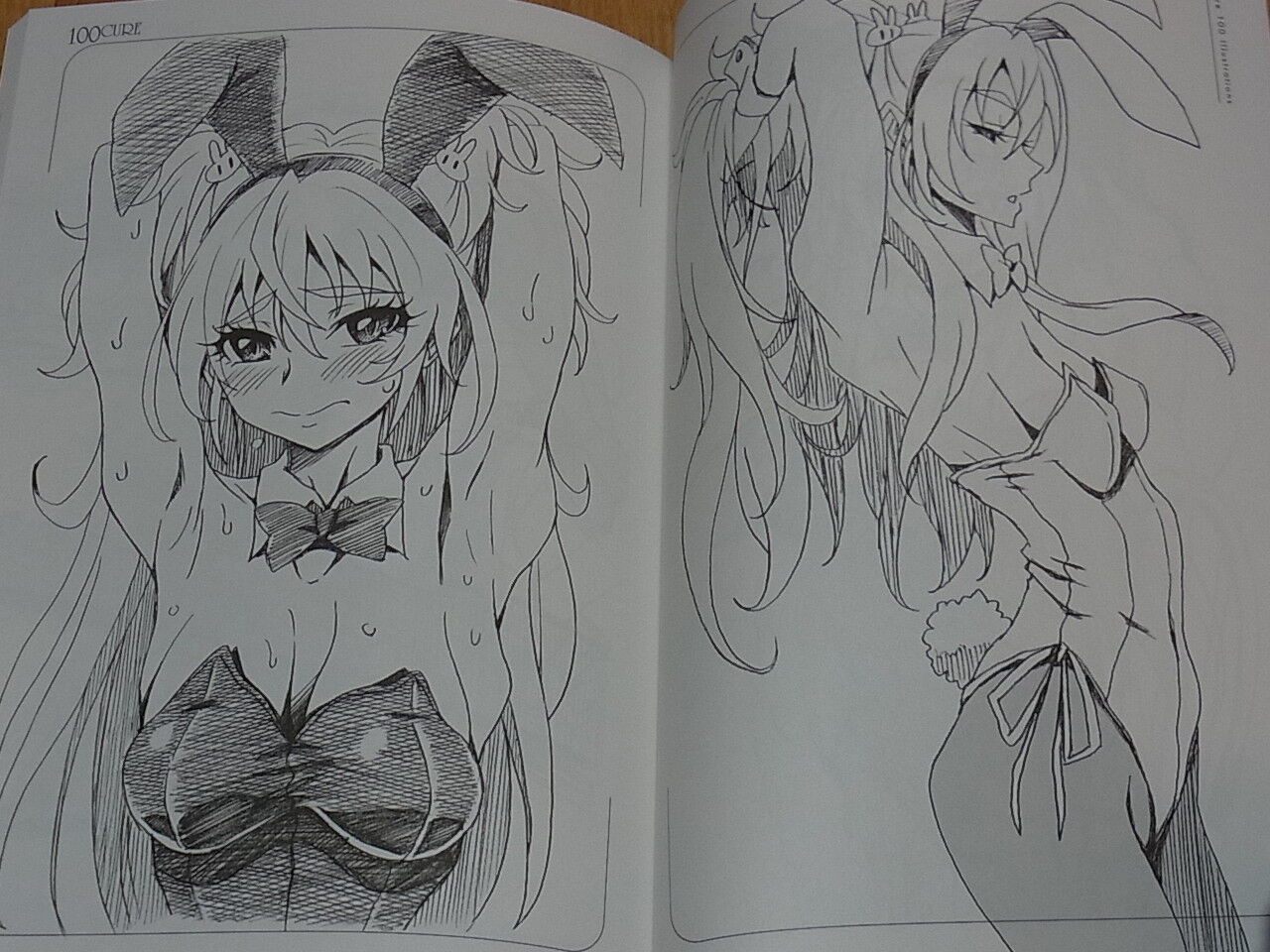EUNOS Precure Fan Art Book 100 CURE vol.SP1 Bunny CureGirls 106page Pre Cure C93 