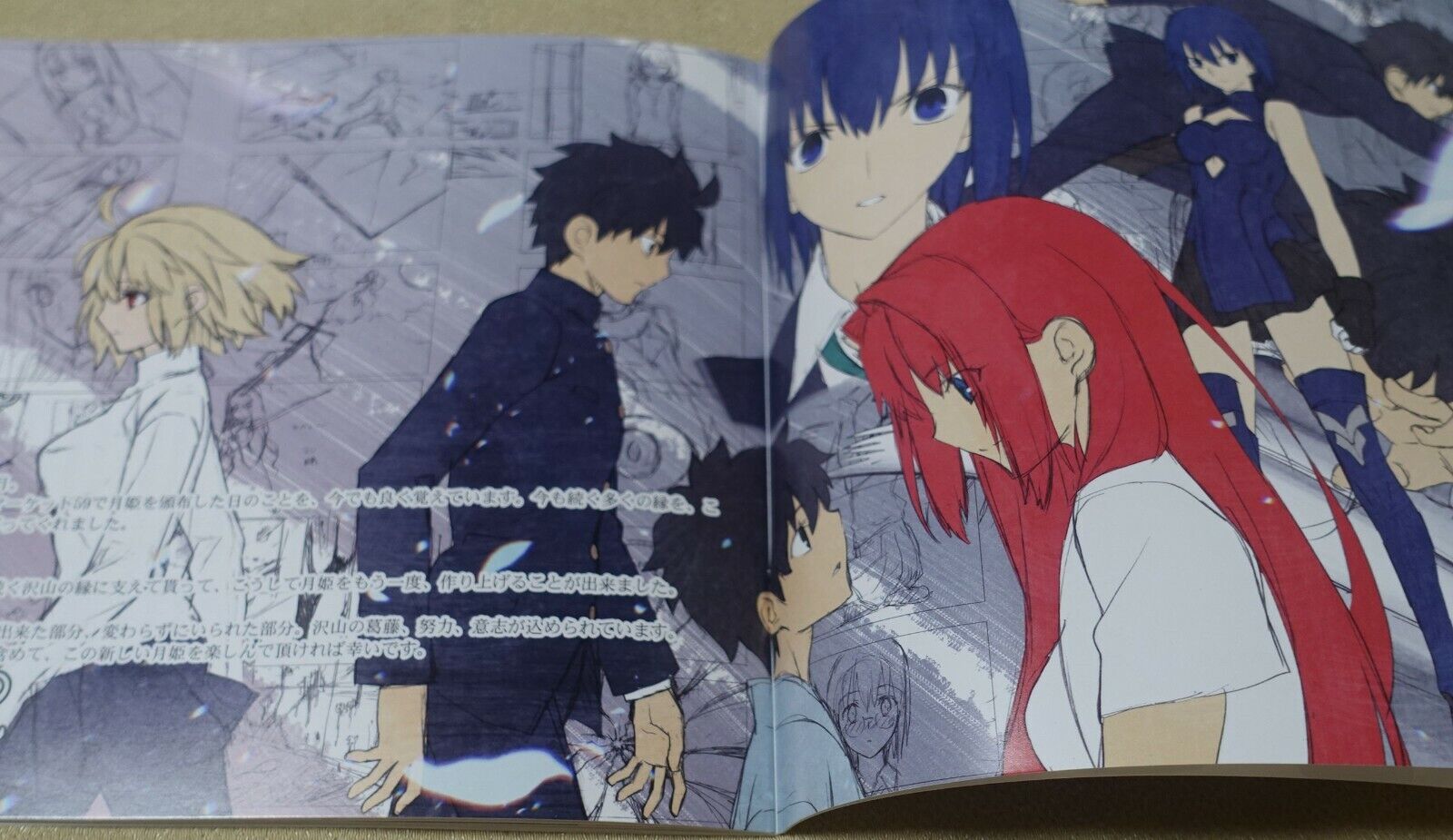 Tsukihime A piece of blue glass moon Staff Book & Setting Art Book 