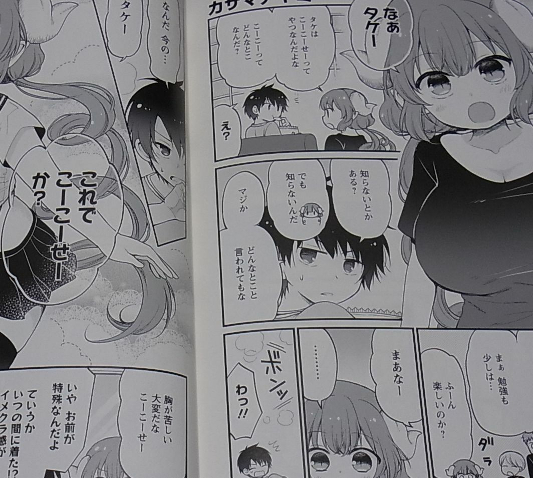 Miss Kobayashi's Dragon Maid Official Fan Doujinshi Together with IRURU C96 