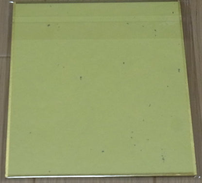 Kenichi Yoshida Koukyoushihen Eureka Seven Eureka & Anemone Print Shikishi 