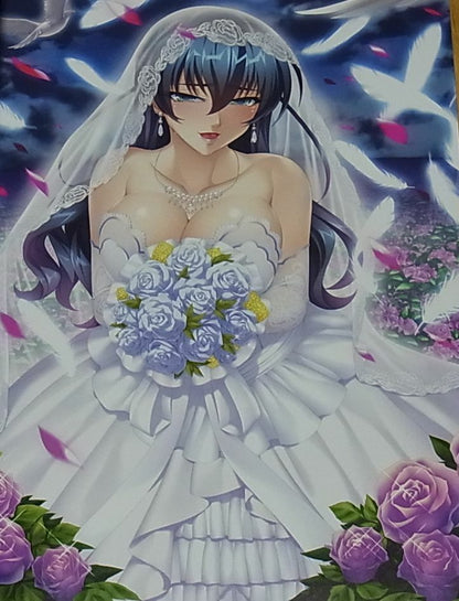 TAIMANIN ASAGI BATTLE ARENA CHARACTER VISUAL ART BOOK 9 NINJA GIRL 116page C95 