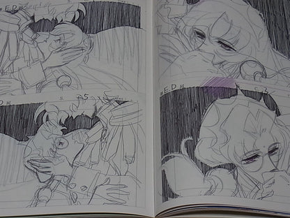 REVOLUTIONARY GIRL UTENA Hard Core Art Books Set total 440page with paper bag 