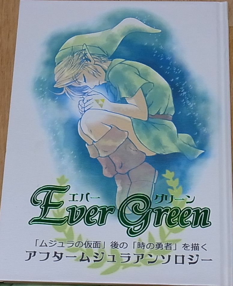 PIKA LEGEND OF ZELDA FAN Doujinshi AFTER MAJORA'S MASK ANTHOLOGY 