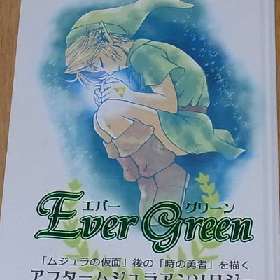 PIKA LEGEND OF ZELDA FAN Doujinshi AFTER MAJORA'S MASK ANTHOLOGY 