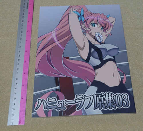 Anubebdi Senki Zesshou Symphogear Key Frame Art Collection Hanyu Rough 03 